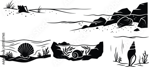 Black and white seashell collection with ocean scenery