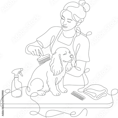 Woman brushing and grooming a dog with pet care supplies, representing hygiene, animal care, grooming service and responsible pet ownership