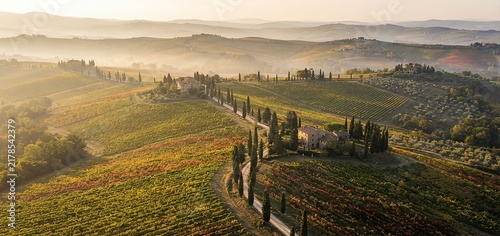 Aerial view of a scenic winding road lined with cypress trees leading to a traditional stone farmhouse in the rolling hills of tuscany, italy at sunrise