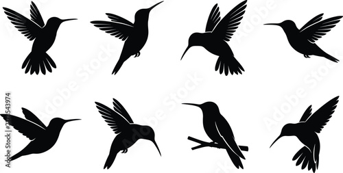 Hummingbird Silhouette Vector Collection with Flying Bird and Nature Symbols for Wildlife and Graphic Design Projects