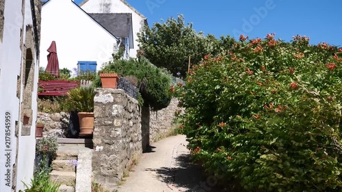 winds through a charming, narrow village lane, with stone walls and flowers in full bloom