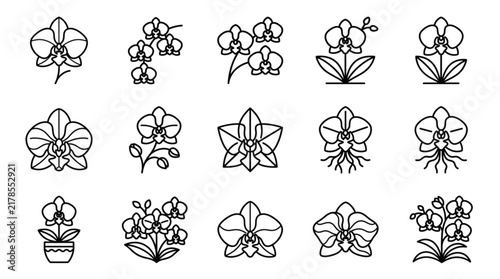 Collection of Orchid Flower Line Art Icons and Illustrations.