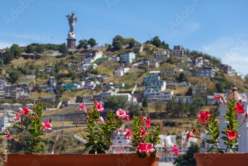 scorcio  di quito ecuador