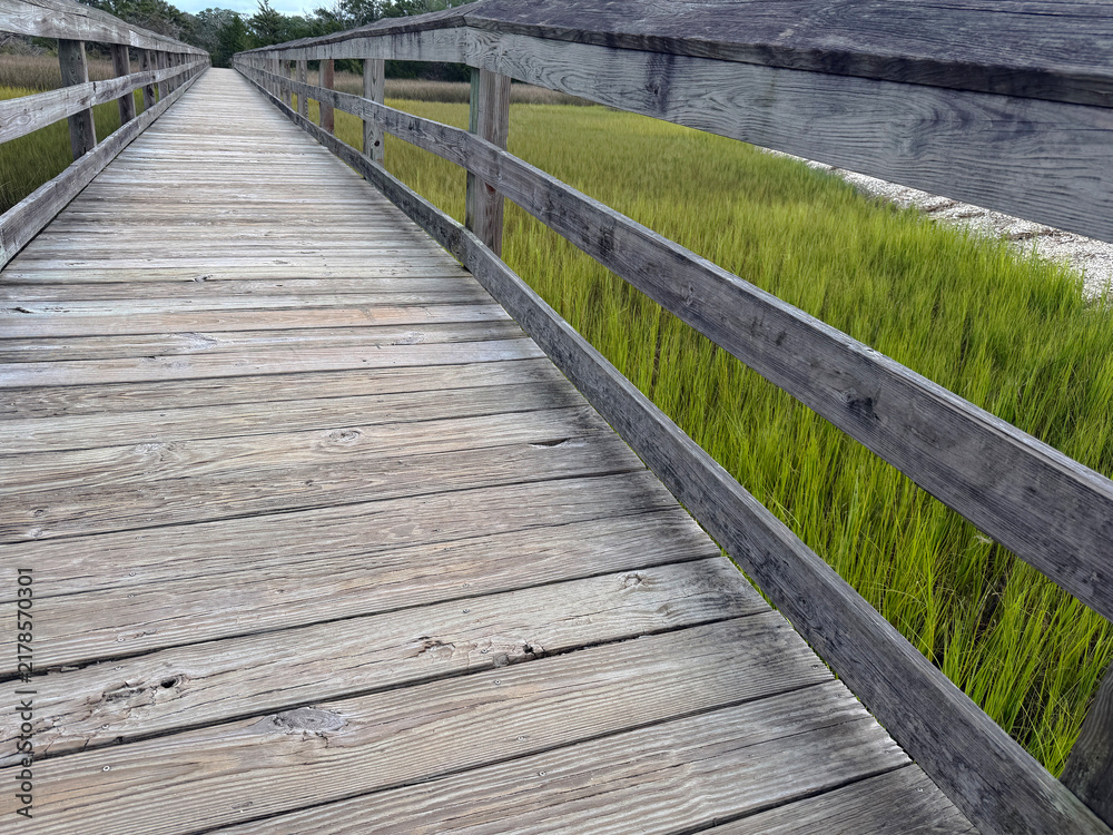 Fototapeta premium SC LR Boardwalk Low Angle 2026