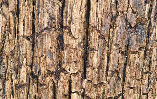 Картината върху платно altes Holz