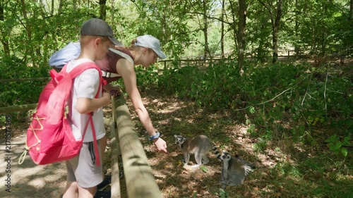 A boy and a girl are feeding the lemurs