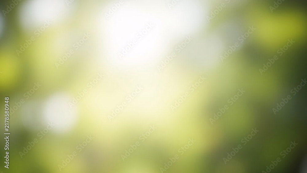 Obraz premium Blurry green background with white light