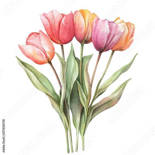 Tulip Bouquet, realistic watercolor artwork on white background