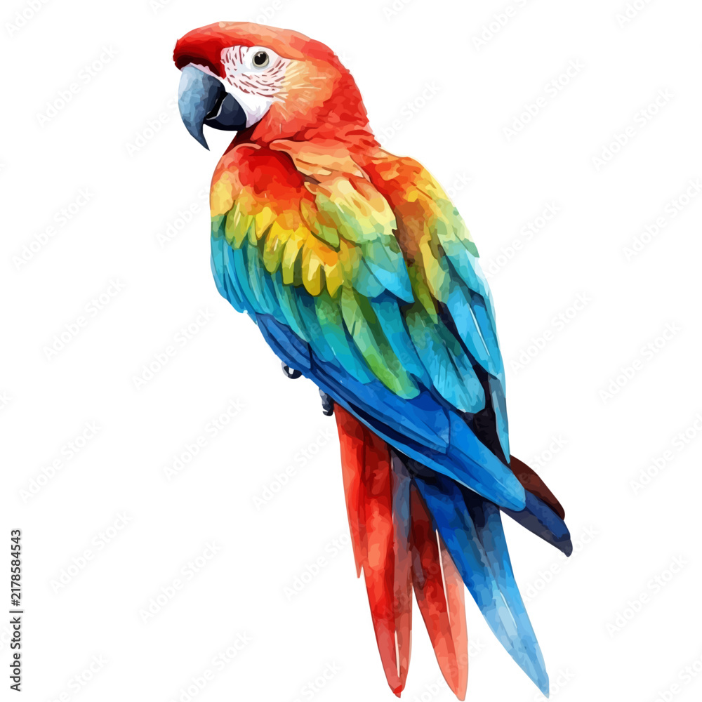 Obraz premium Detailed watercolor painting of Parrot, isolated on white background