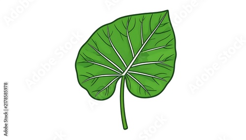 Close up of a single green leaf on stem.