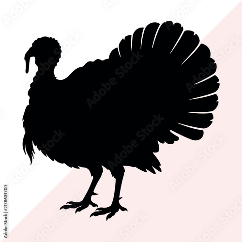 Black silhouette turkey bird standing upright with detailed feathers and natural pose
