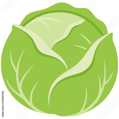 Fresh green cabbage icon isolated on transparent background ideal for organic market visual assets