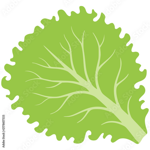 Fresh green lettuce leaf icon isolated on transparent background for healthy salad menu design