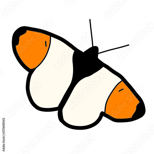 Orange Tip Butterfly Europe Flying Animal Habitat Hand drawn,