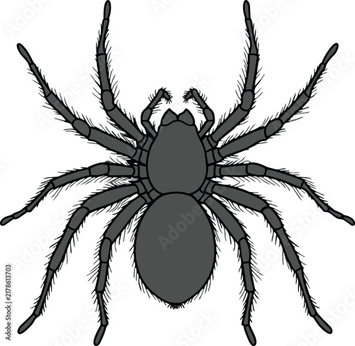 A black spider illustration for Halloween