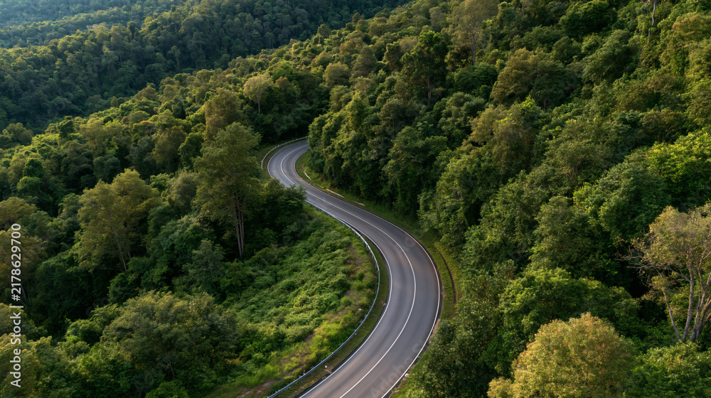 Fototapeta premium Winding Road Through Lush Forest: An aerial view captures a serpentine road cutting through a dense, vibrant green forest, hinting at adventure and exploration.