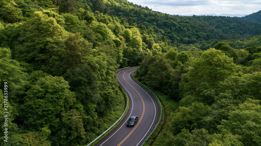 Fototapeta premium Serpentine Road Through Lush Forest: An aerial view captures a winding road carving through a dense, vibrant green forest, hinting at an adventurous journey ahead.
