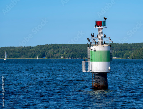 Cormorants on a channel marker with lighting in the archipelago near Stockholm in the Baltic Sea, Sweden