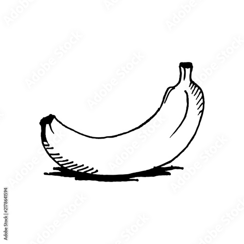Hand drawn pen drawing of a banana, line doodle of banana