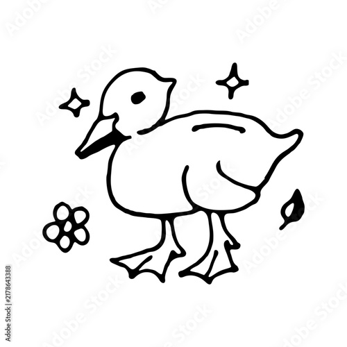 hand-drawn line illustration of a cute duckling using a pen