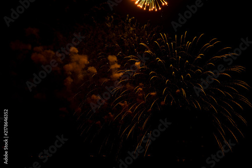 Fotografie Bright, golden fireworks illuminate the dark night sky, creating an enchanting scene above a city