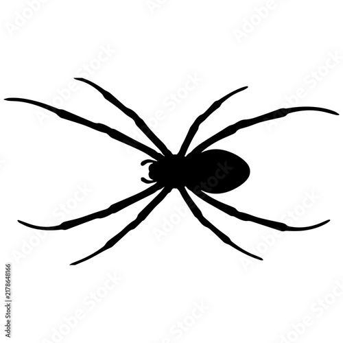 Black spider silhouette isolated on white background for Halloween graphic design.