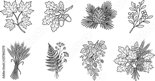 A collection of hand-drawn botanical illustrations featuring various autumn leaves, acorns, pine cones, wheat stalks, berries, and ferns in a clean black and white style.