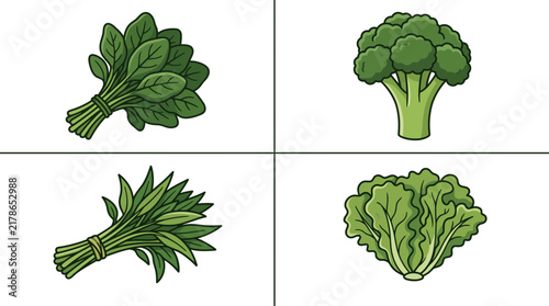 Fresh green leafy vegetable vector collection featuring spinach, broccoli, kangkung, and lettuce, isolated on white background for healthy organic nutrition and culinary concepts.