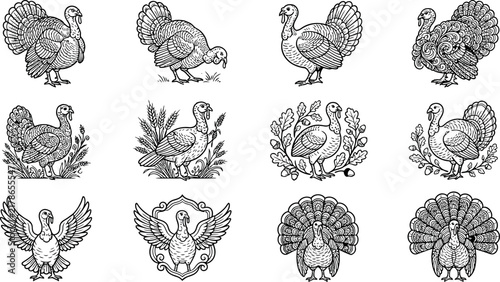 A collection of twelve distinct black and white line art illustrations of turkeys, featuring various poses, decorative patterns, foliage, and ornate framing elements for design.