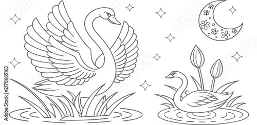 Fotografie A detailed black and white line art coloring book page featuring a collection of various swans in different mystical and elemental themes