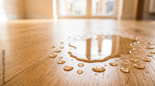 Water droplets on wooden floor in bright living space  