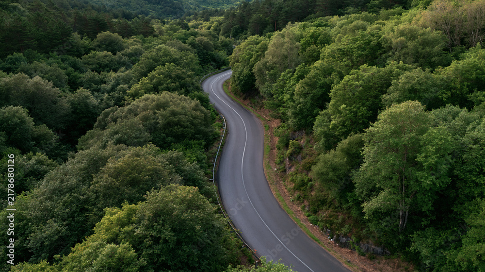 Fototapeta premium Winding Road Through Lush Forest: An aerial view of a solitary asphalt road curving through a dense, vibrant green forest, hinting at adventure and exploration.
