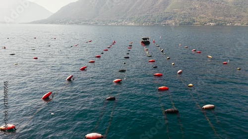 Oyster farm in the Bay of Kotor, Montenegro, with floating buoys and a small boat surrounded by scenic Adriatic mountains and coastal villages