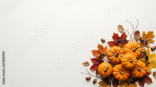 A festive flat lay composition featuring small orange pumpkins and colorful autumn leaves to celebrate a warm happy thanksgiving day event