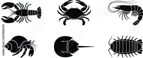 Crustacean marine life silhouette set lobster crab shrimp hermit crab horseshoe crab isopod vector.