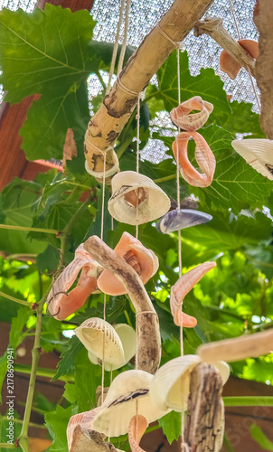 Bild auf Leinwand Handmade seashell wind chime hangs from a wooden pergola amidst green leaves