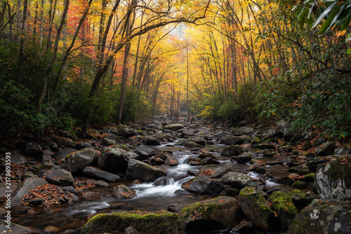 autumn foliage, great smoky mountains, tennessee