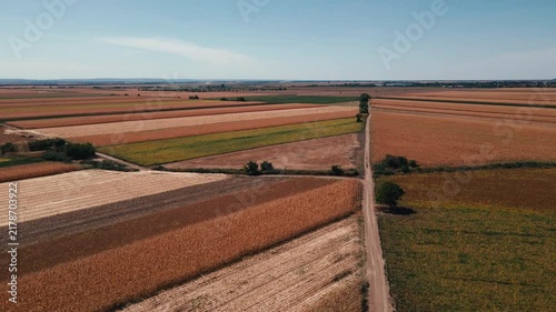 Aerial View of Colorful Agricultural Fields and Rural Road