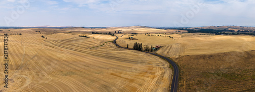 Aerial view of the golden wheat fields in Cheney, Washington, United States.