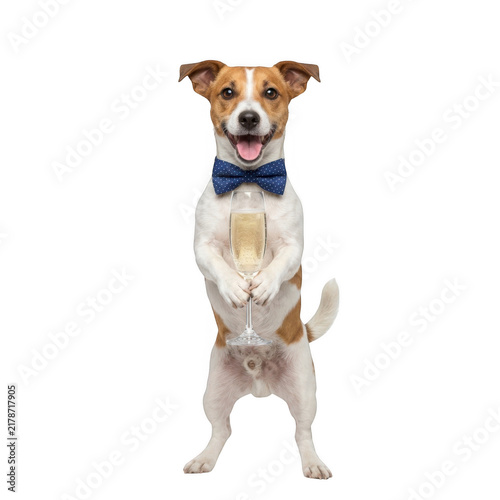 Cute dog wearing bow tie holding champagne glass, isolated on transparent background