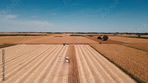 Drone View of Agricultural Machinery Harvesting Corn
