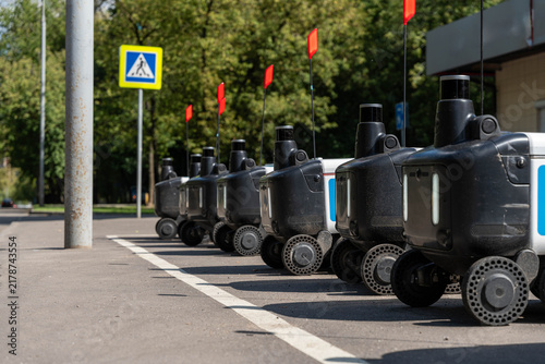 Quadro su tela Autonomous delivery robots line up beside pedestrian crossing sign on sunny roadside