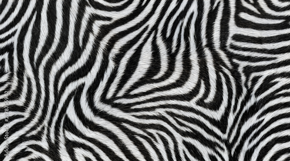 Black and white zebra print seamless pattern texture