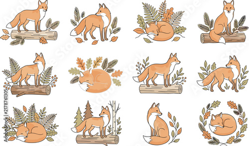 Cute Woodland Fox Vector Character Collection Set with Forest Botanical Leaves and Log Elements for Autumn Nursery Print and Greeting Card Graphic Designs
