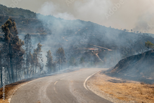 Foto Cenário apocalíptico com uma estrada sinuosa envolvida pelo fumo e pela devastaç