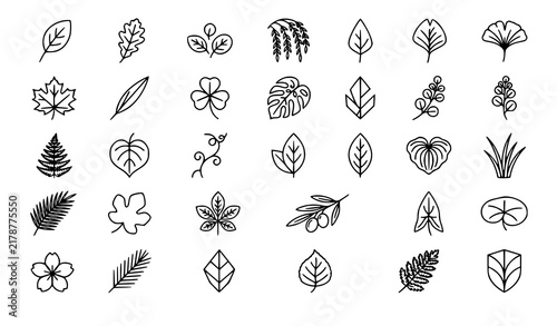Leaves Icon Vector Set Isolated on White Leaf Logo Design Elements Collection