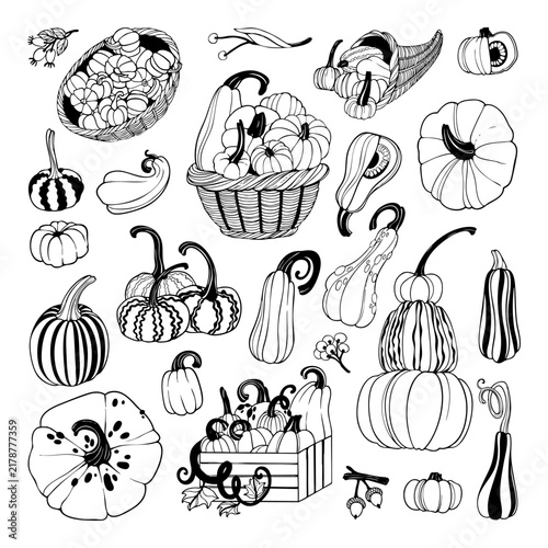 Black and White Autumn Harvest Pumpkin Collection.