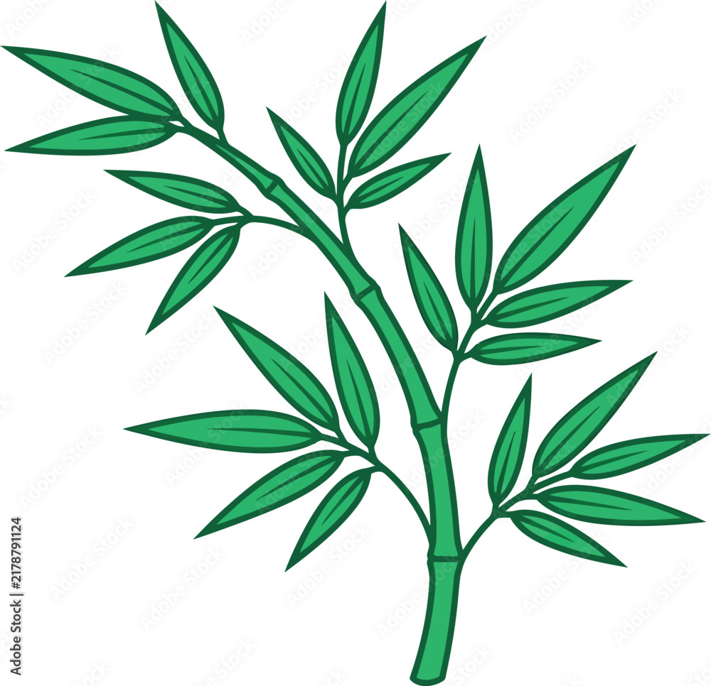 Fototapeta premium A hand drawn green bamboo plant branch with leaves isolated on a transparent background