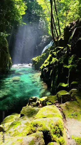 夏の菊池渓谷