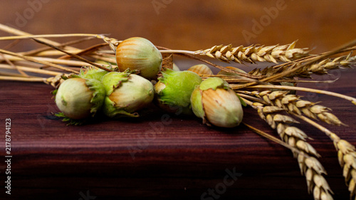 Cuadro en lienzo Hazelnuts and wheat ears on a wooden board, early autumn, close-up, macro